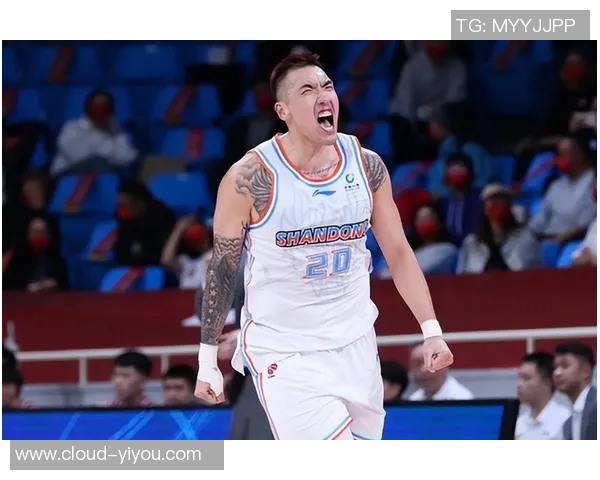 陶汉林：从篮球新星到职业生涯巅峰的励志故事与成长历程