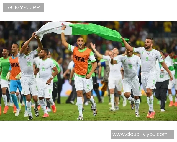 巴西世界杯2014精彩瞬间回顾与历史意义深度解析